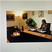 Ripetizioni di diritto privato, diritto di famiglia, esecuzioni